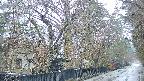 area3-20250418055027.jpg