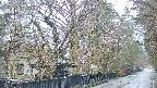 area3-20250418060026.jpg