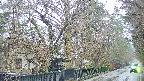 area3-20250418061029.jpg