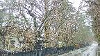area3-20250418081028.jpg