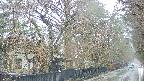 area3-20250418085028.jpg