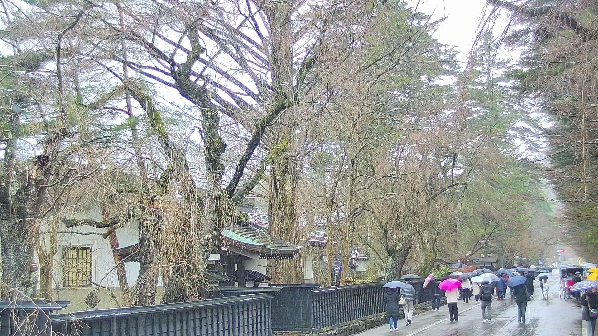 area3-20250418112029.jpg