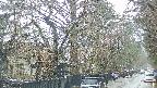 area3-20250418132028.jpg