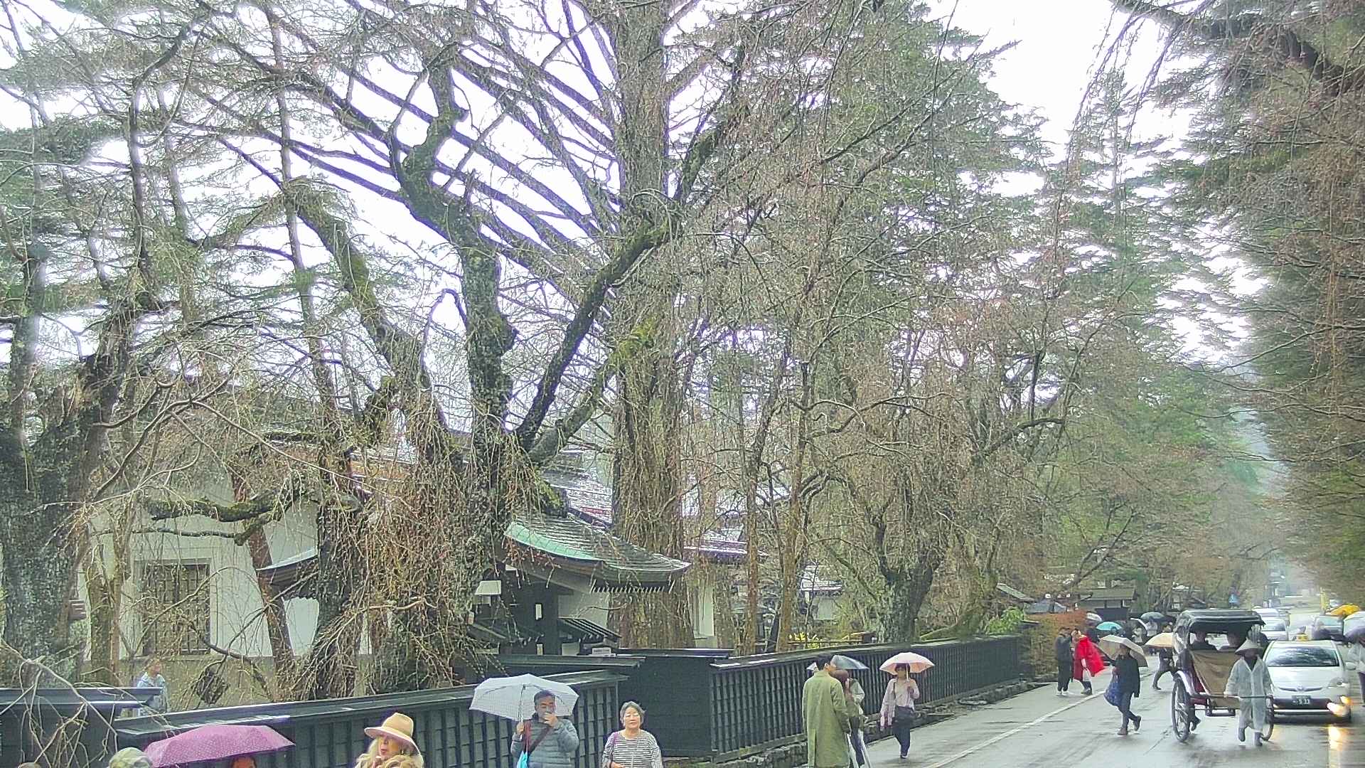 area3-20250418133028.jpg