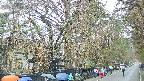 area3-20250418141027.jpg