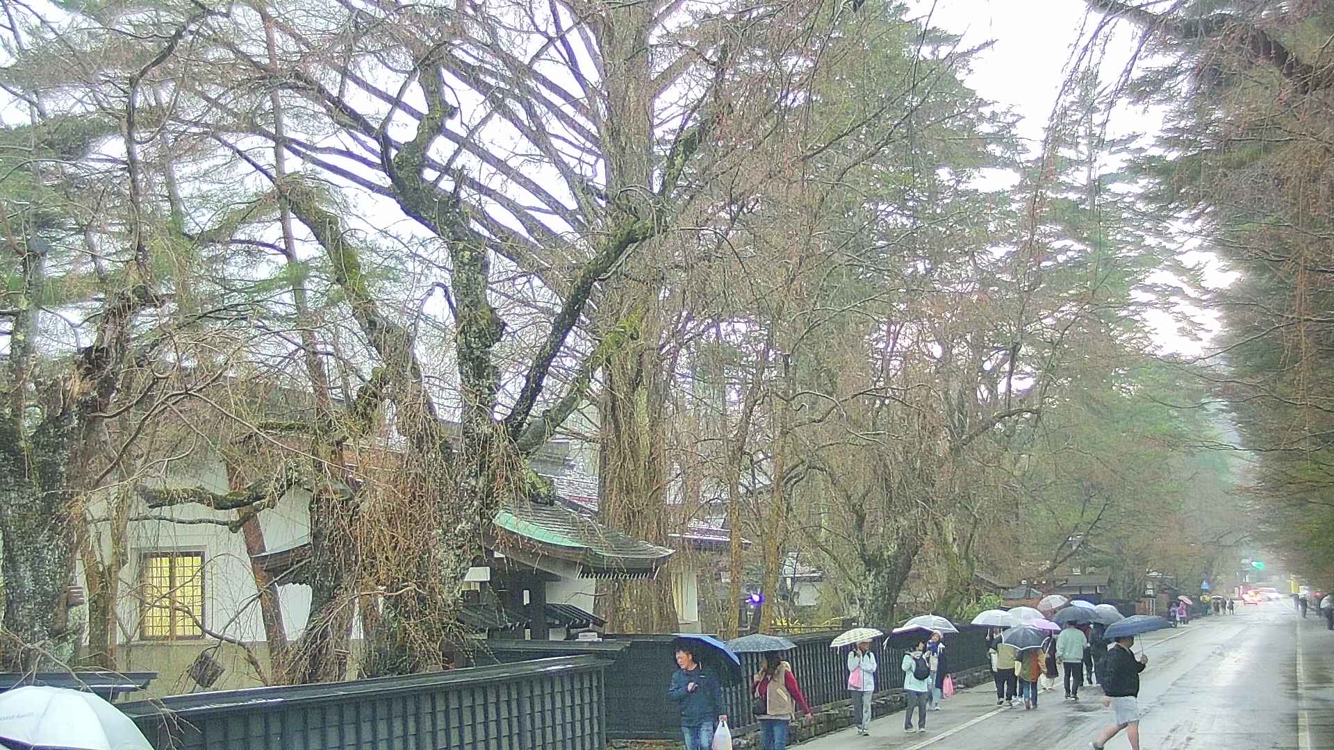 area3-20250418143029.jpg
