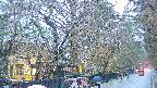 area3-20250418180028.jpg