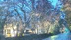 area3-20250418183028.jpg