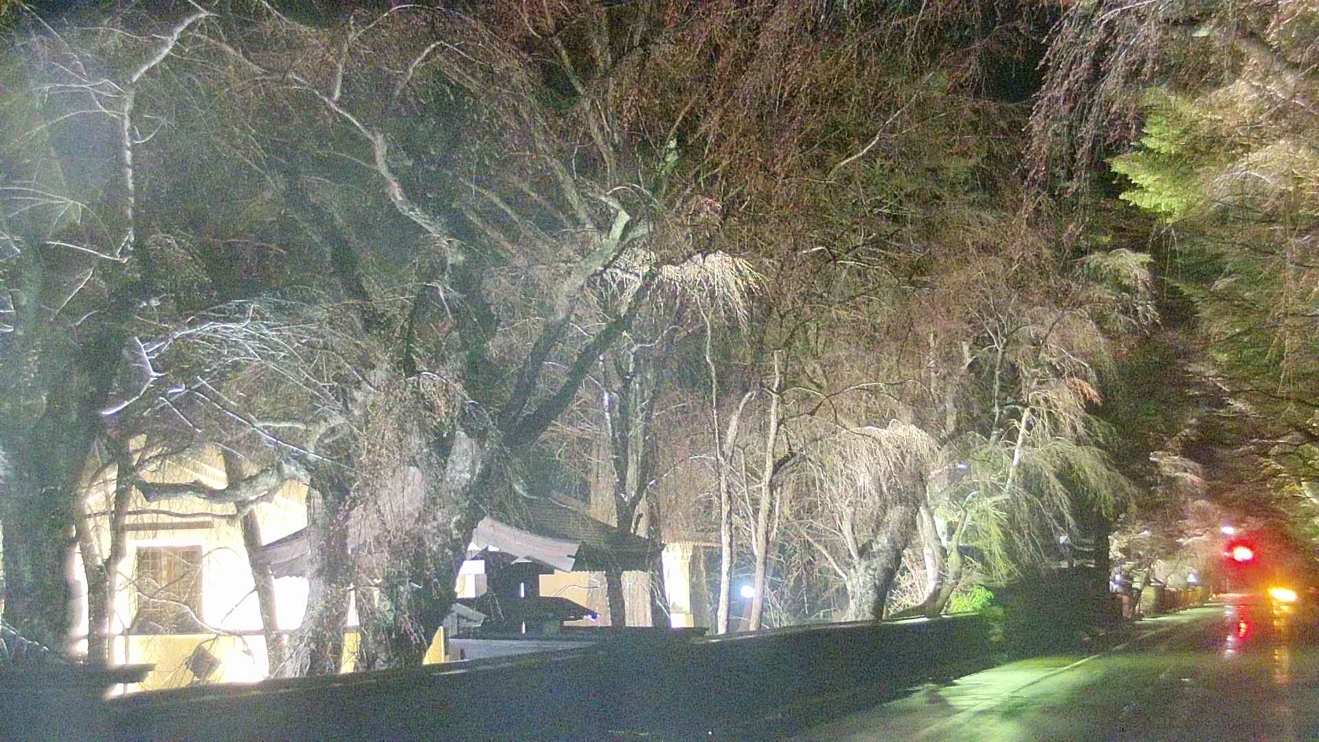 area3-20250418193029.jpg