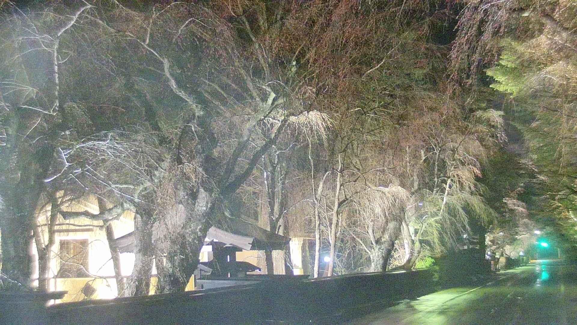 area3-20250418194029.jpg
