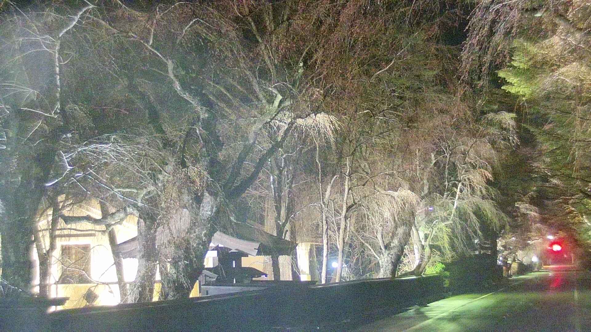 area3-20250418212028.jpg
