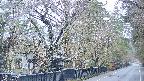 area3-20250419053030.jpg