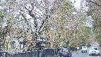 area3-20250419055033.jpg