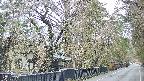 area3-20250419071028.jpg