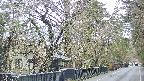 area3-20250419073028.jpg