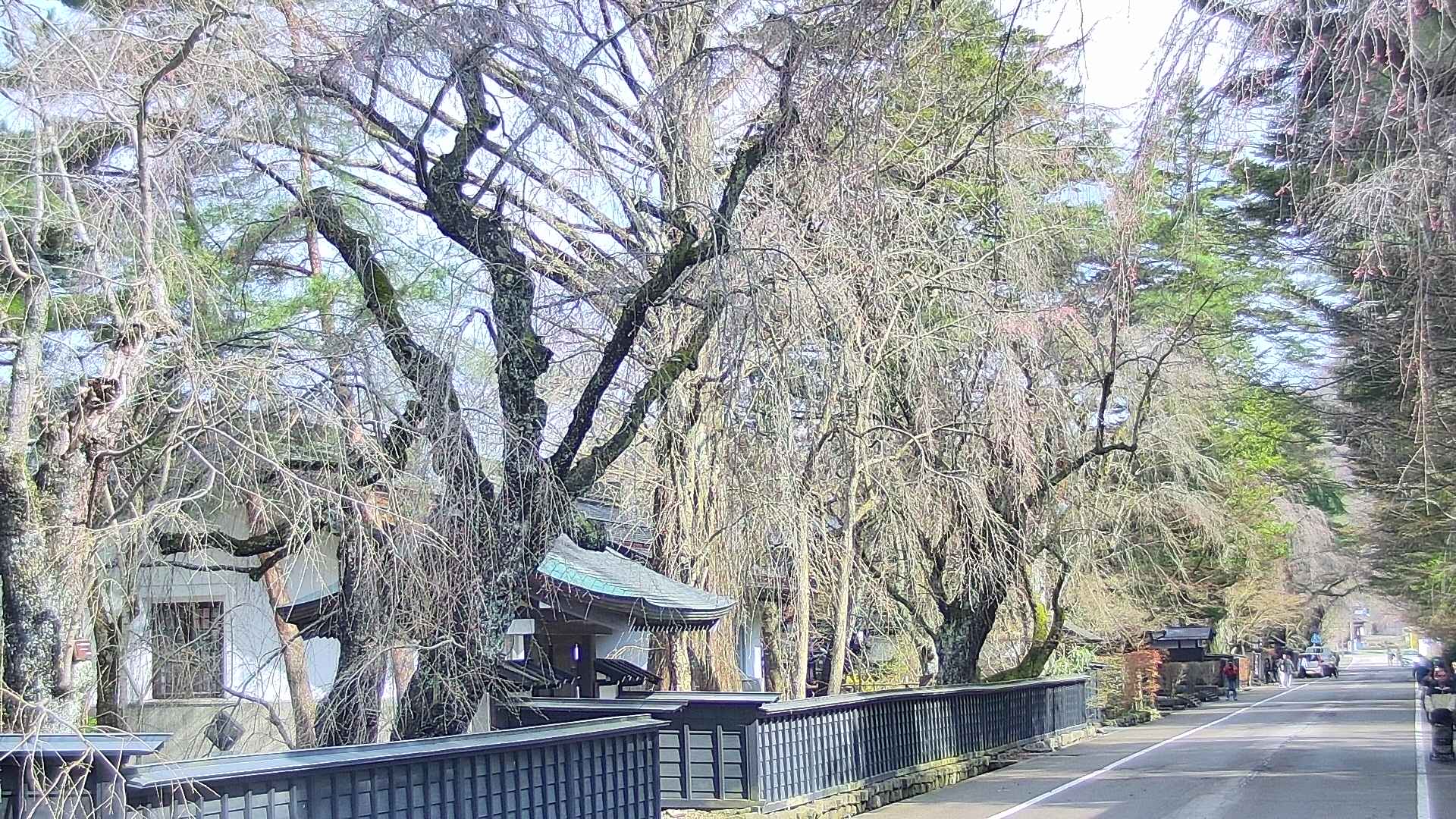 area3-20250419083030.jpg