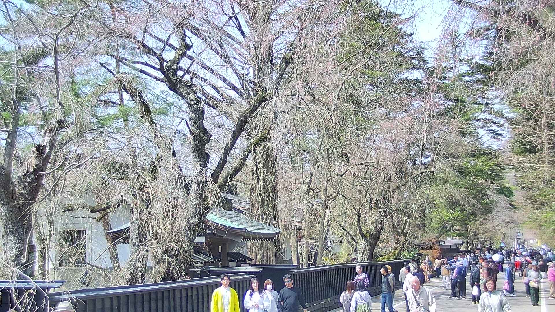 area3-20250419133028.jpg