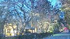 area3-20250419184027.jpg