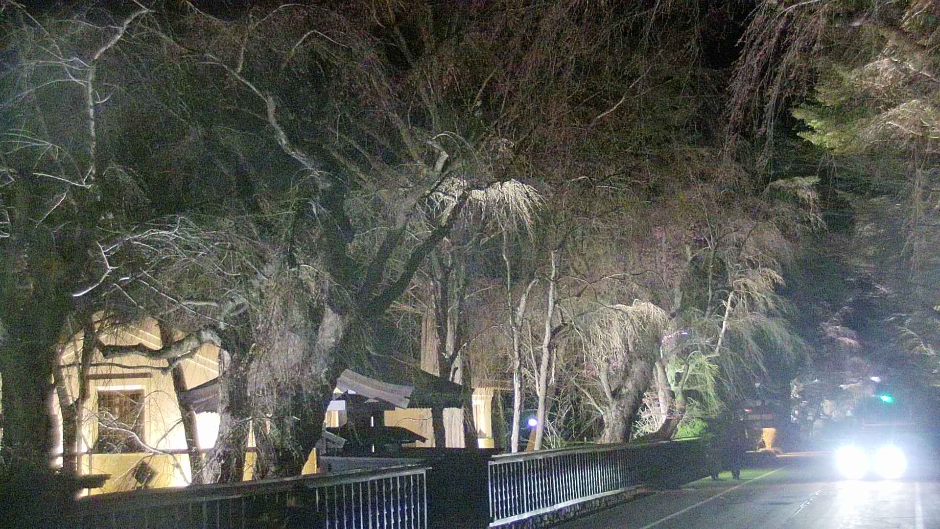 area3-20250419211028.jpg