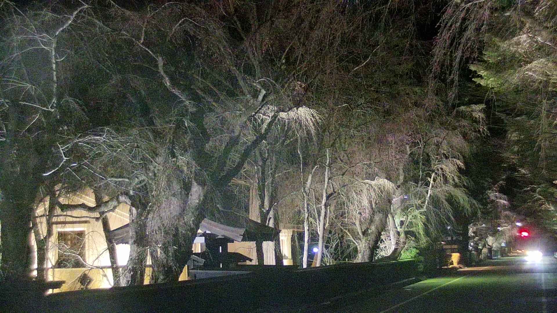 area3-20250419212028.jpg