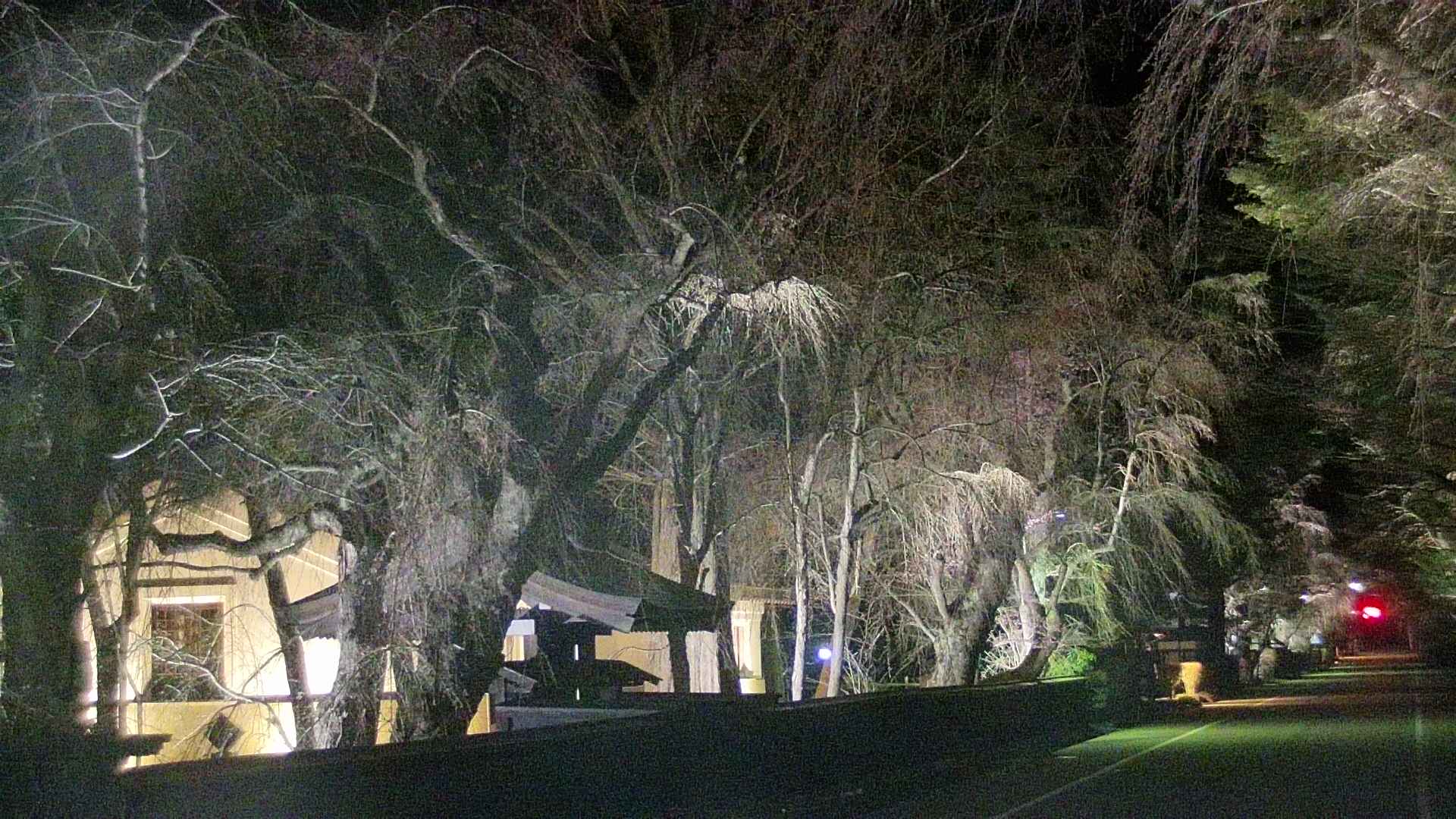 area3-20250419214027.jpg