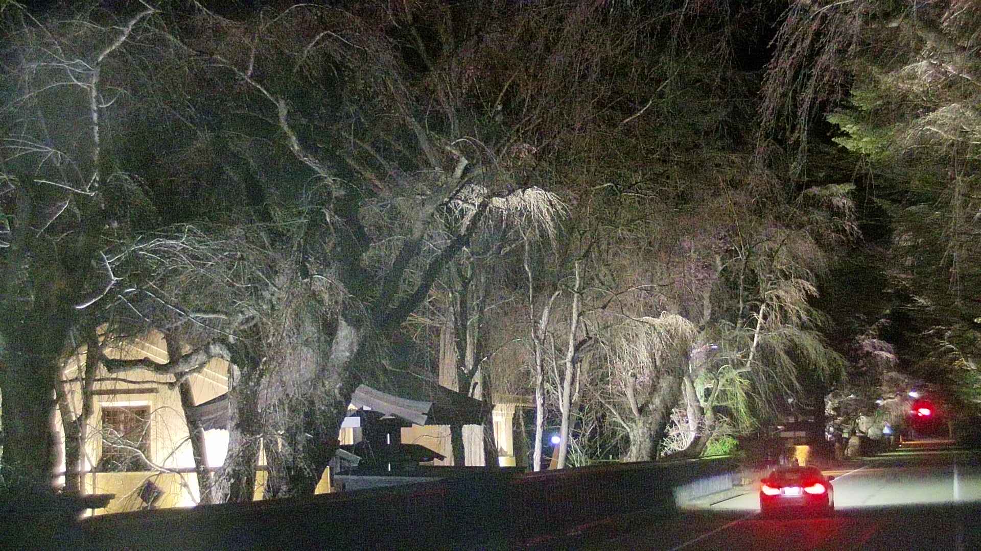 area3-20250419215028.jpg
