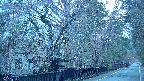 area3-20250420050030.jpg