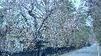area3-20250420051028.jpg