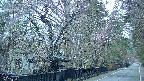 area3-20250420052027.jpg