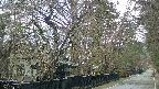 area3-20250420054027.jpg