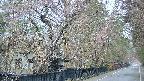 area3-20250420055029.jpg