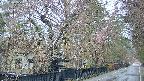 area3-20250420060027.jpg
