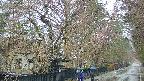 area3-20250420061027.jpg