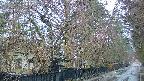 area3-20250420062029.jpg