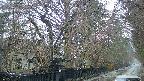 area3-20250420063029.jpg