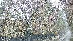 area3-20250420065028.jpg