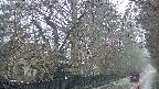 area3-20250420070028.jpg