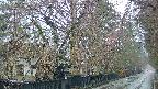 area3-20250420072028.jpg