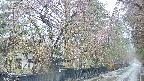 area3-20250420074027.jpg