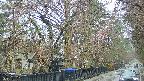 area3-20250420081029.jpg