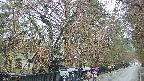 area3-20250420082029.jpg