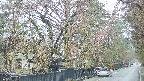 area3-20250420084028.jpg