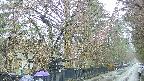area3-20250420091027.jpg