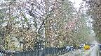 area3-20250420100027.jpg