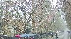 area3-20250420101027.jpg
