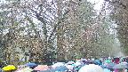 area3-20250420103028.jpg