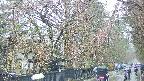 area3-20250420104028.jpg