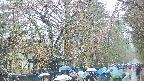 area3-20250420105028.jpg