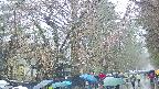 area3-20250420111027.jpg