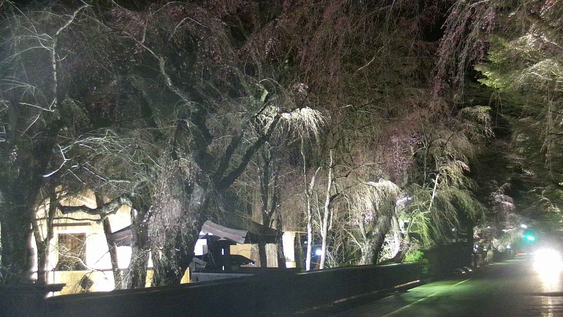 area3-20250420211028.jpg